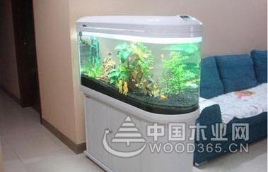 鱼缸的摆放位置风水讲究
