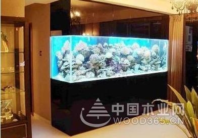 鱼缸的摆放位置风水讲究