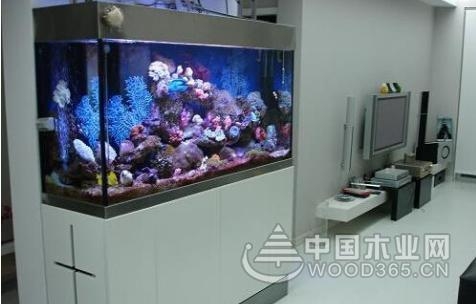 鱼缸的摆放位置风水讲究